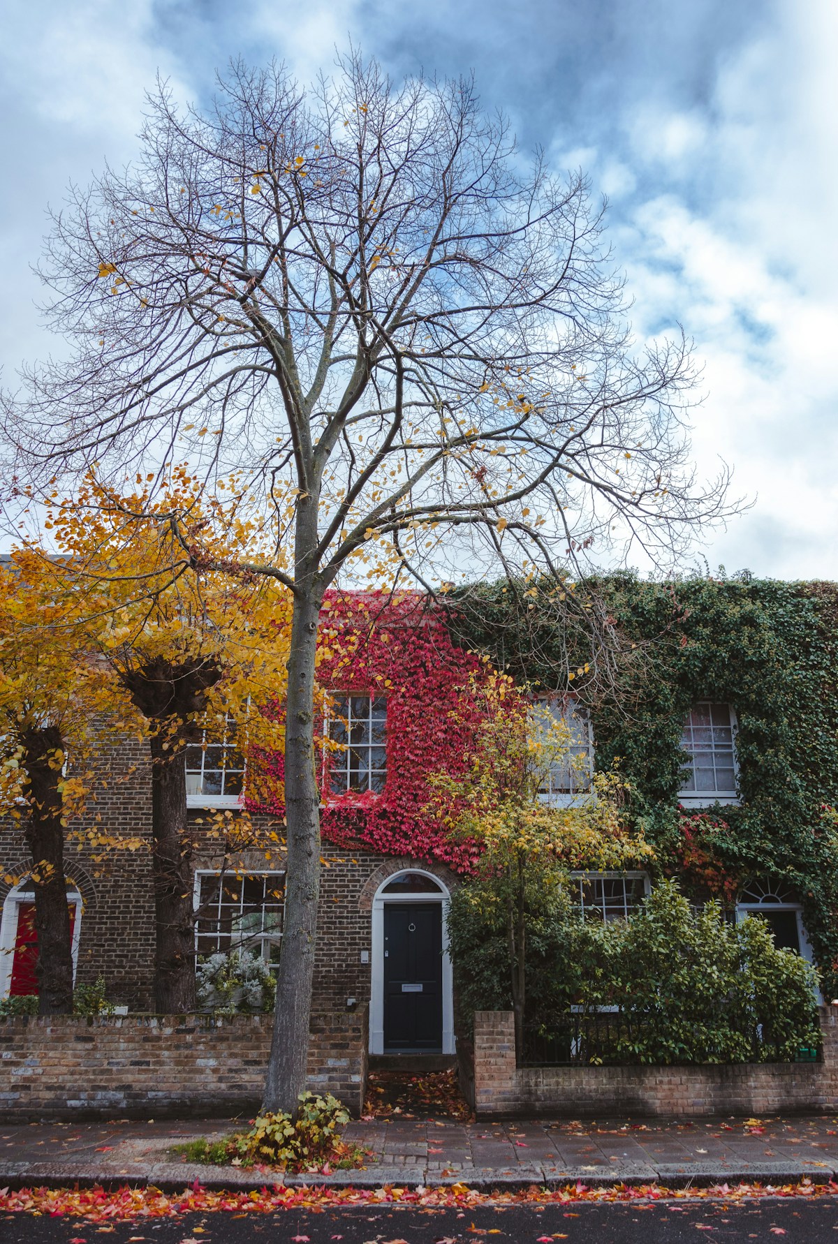 A row of traditional homes along a residential street